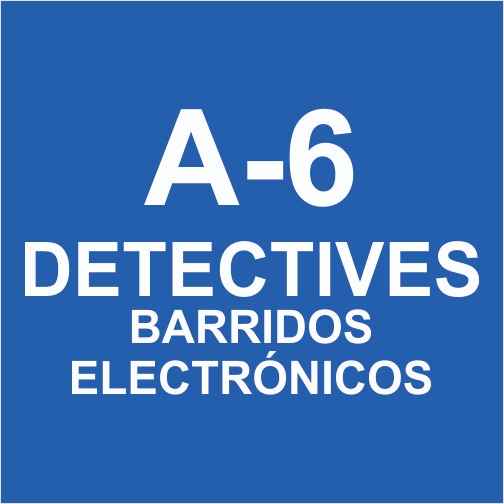 A-6 Detectives